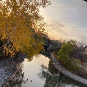 Meet your Posher, Yanis